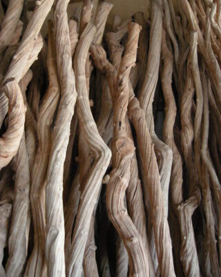 Lianas Twisting Root