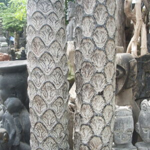 Pakis Trees
