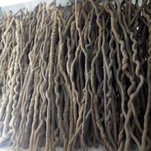 Lianas Twisting Roots decor
