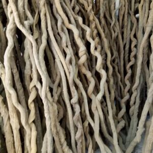 Lianas Twisting Roots 1 (2) Lianas Twisting Roots 1 (2)