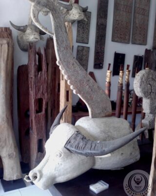 Alternative view of Kepala Kerbau Kayu (Kabongngo) dan Katik Ayam Toraja