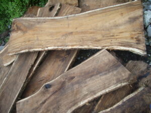 Raw Suar Wood for Tables