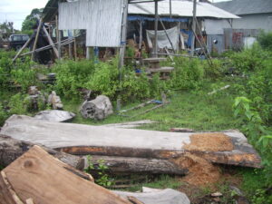 Raw Suar Wood for Tables