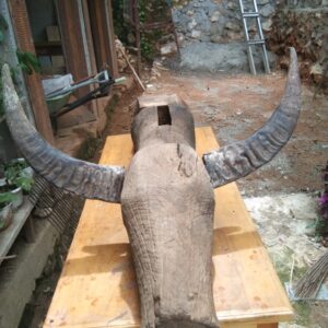 Unique Toraja Wooden Buffalo Head (1)