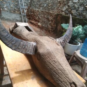 Unique Toraja Wooden Buffalo Head (2)