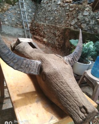 Unique Toraja Wooden Buffalo Head