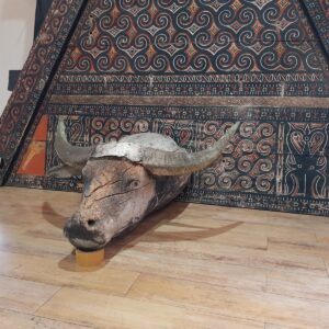 Antique Toraja wooden buffalo head (1)