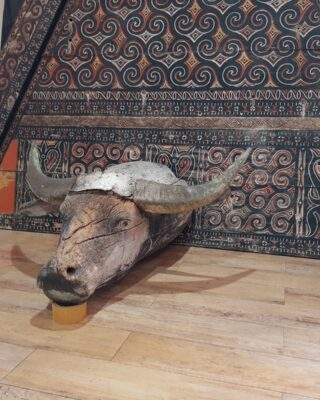 Alternative view of Patung Antik Kepala Kerbau Toraja (Kabongo')