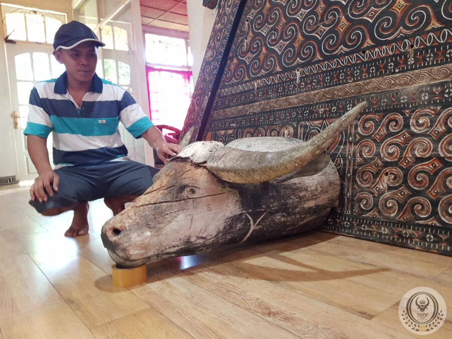 Antique Toraja wooden buffalo head Antique Toraja wooden buffalo head