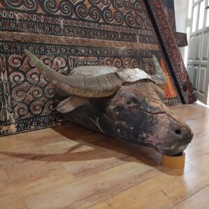 Antique Toraja wooden buffalo head (3)