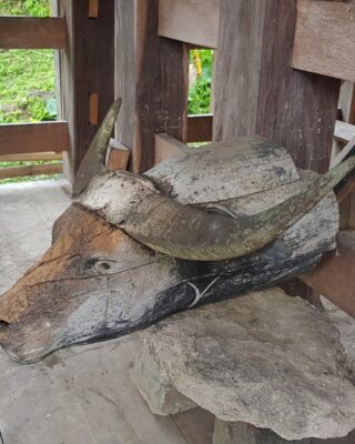 Patung Antik Kepala Kerbau Toraja (Kabongo')