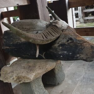 Antique Toraja wooden buffalo head Antique Toraja wooden buffalo head