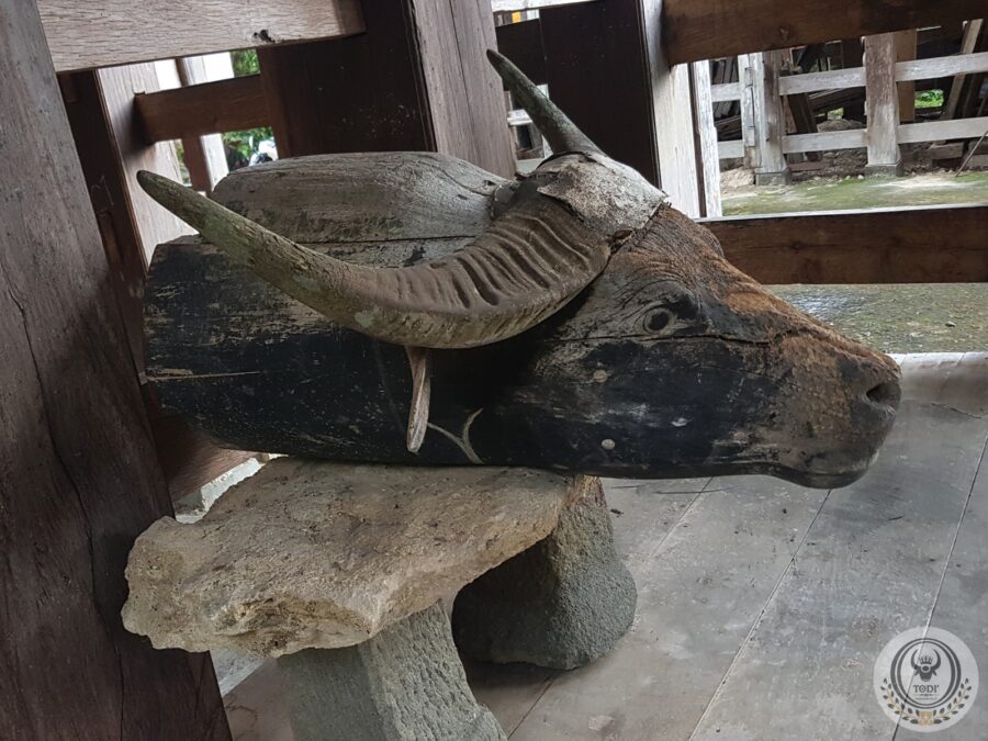 Antique Toraja wooden buffalo head Antique Toraja wooden buffalo head