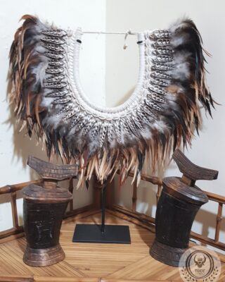 Tribal Feather And Black Shells Necklace from Papua (Irian)