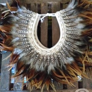 Tribal Feather And Black Shells Necklace from Papua (Irian)