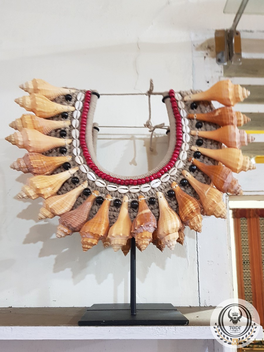 Tribal Papua Necklace Orange Shells, Cowrie, Red Beads Tribal Papua Necklace Orange Shells, Cowrie, Red Beads